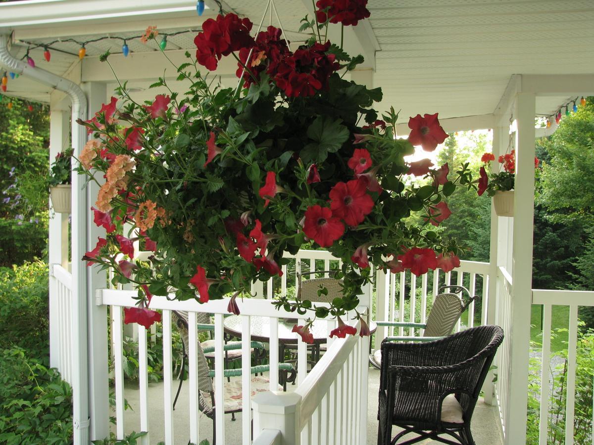 Arkadia Eastman B&B Exterior foto